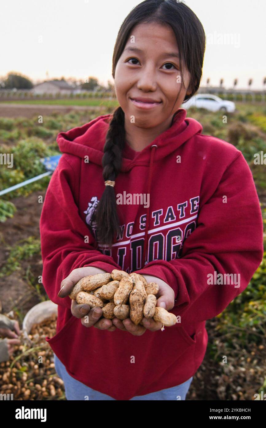 Vue Her, propriétaire de VH Produce, est un agriculteur hmong sur un champ de 10 acres, qui cultive plusieurs cultures asiatiques spécialisées à Singer, EN CALIFORNIE, près de Fresno, le 9 novembre 2018. Il a travaillé avec le Service de conservation des ressources naturelles (NRCS) du Département de l'Agriculture des États-Unis (USDA) pour mettre en œuvre de nombreuses améliorations de conservation, y compris l'aide au remplacement d'un vieux tracteur par un tracteur plus efficace à faibles émissions et l'installation de tunnels saisonniers élevés. La production agricole et conservation (APFC) est le point focal du Ministère pour les agriculteurs et les éleveurs du pays et les autres gérants des terres agricoles privées et non-in Banque D'Images
