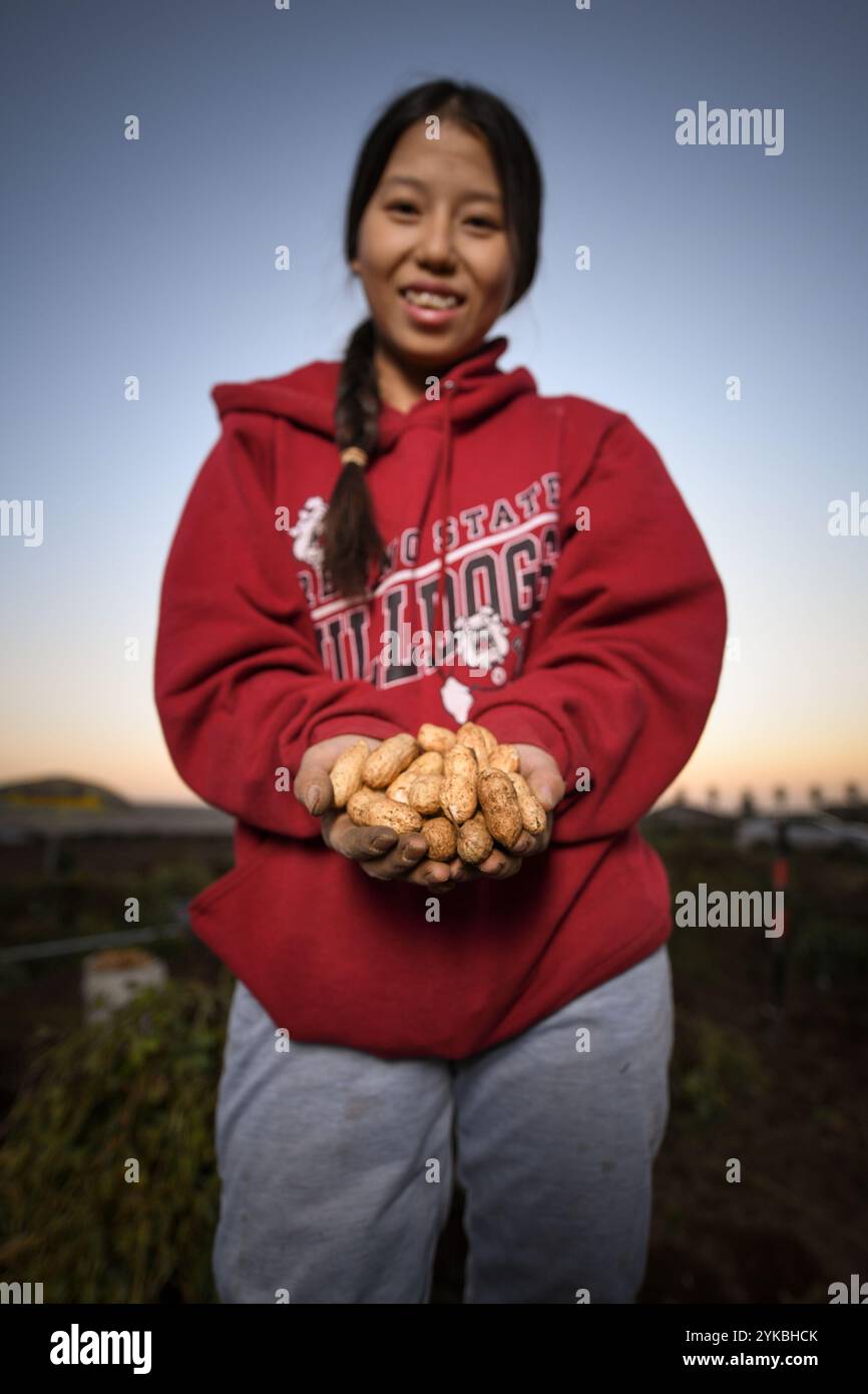Vue Her, propriétaire de VH Produce, est un agriculteur hmong sur un champ de 10 acres, qui cultive plusieurs cultures asiatiques spécialisées à Singer, EN CALIFORNIE, près de Fresno, le 9 novembre 2018. Il a travaillé avec le Service de conservation des ressources naturelles (NRCS) du Département de l'Agriculture des États-Unis (USDA) pour mettre en œuvre de nombreuses améliorations de conservation, y compris l'aide au remplacement d'un vieux tracteur par un tracteur plus efficace à faibles émissions et l'installation de tunnels saisonniers élevés. La production agricole et conservation (APFC) est le point focal du Ministère pour les agriculteurs et les éleveurs du pays et les autres gérants des terres agricoles privées et non-in Banque D'Images