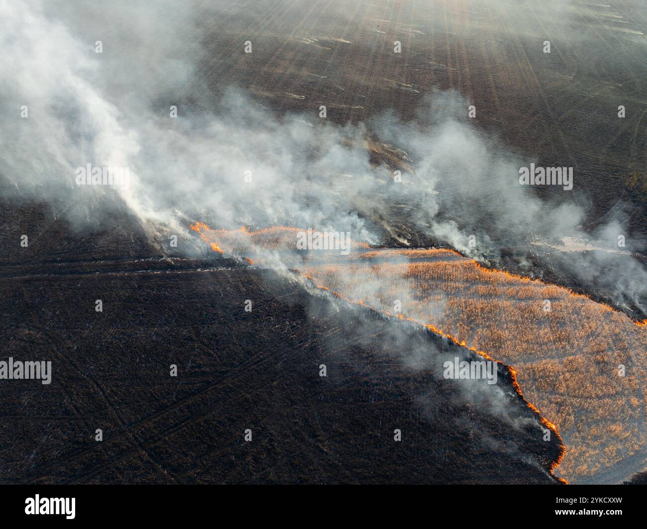Vue aérienne de fumée s'élevant d'un champ en feu à Moolort dans le centre de Victoria, Australie Banque D'Images
