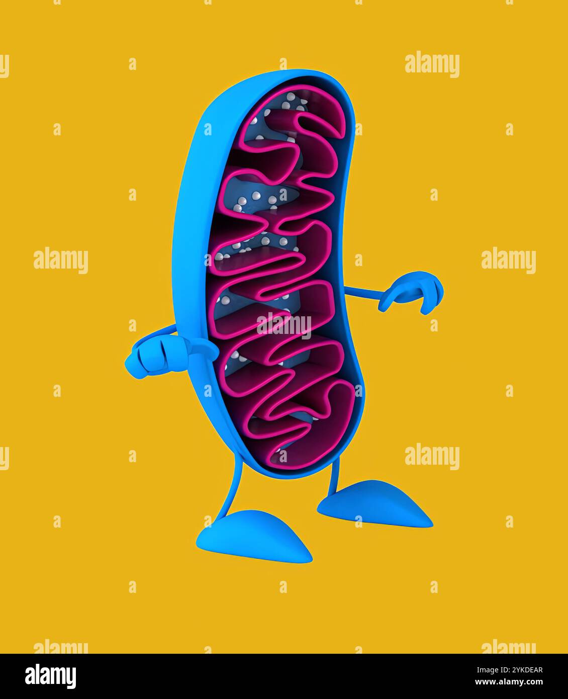 Mitochondries de dessin animé amusantes en 3D. Banque D'Images