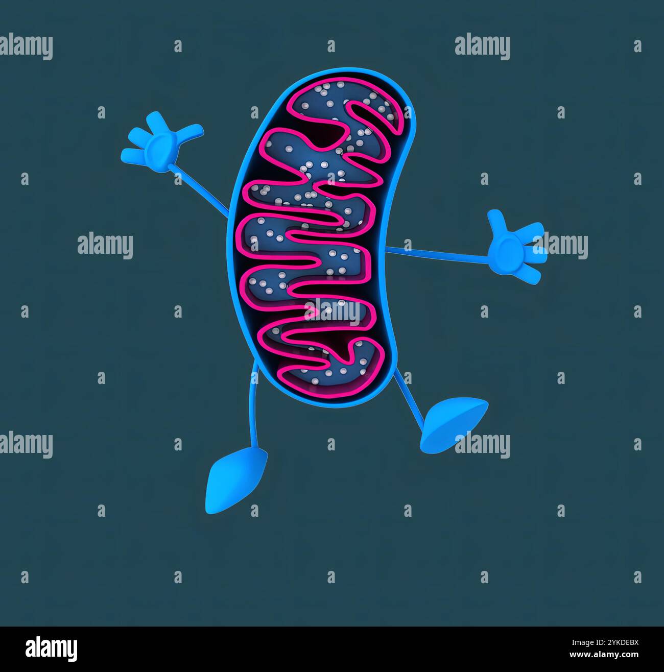 Mitochondries de dessin animé amusantes en 3D. Banque D'Images