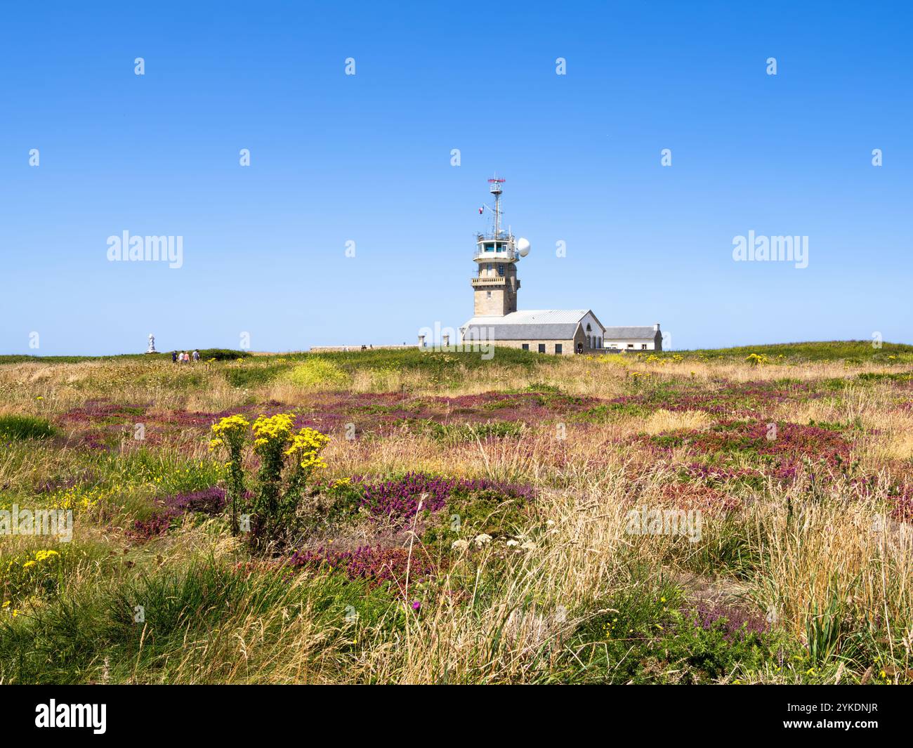 Une vue panoramique d'un phare de la pointe du Raz, Bretagne, en arrière-plan, entouré d'un champ herbeux avec des fleurs sauvages au premier plan Banque D'Images