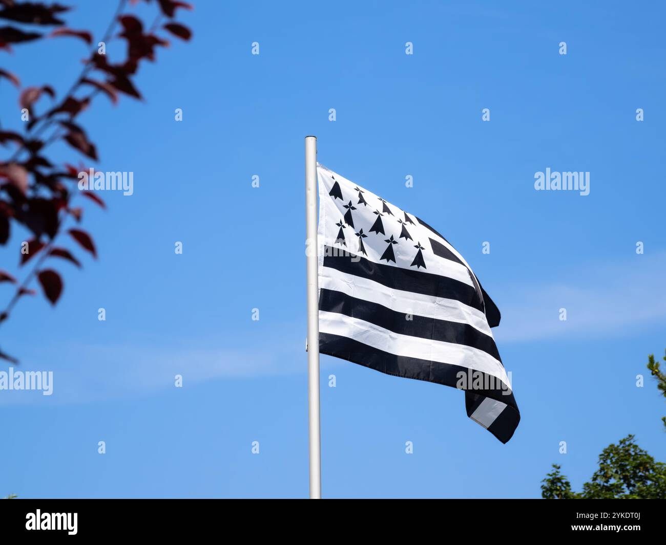 Kercanic, France - 29 juillet 2024 : drapeau régional breton avec un motif noir et blanc avec des rayures horizontales et un motif d'arbres noirs ou Banque D'Images