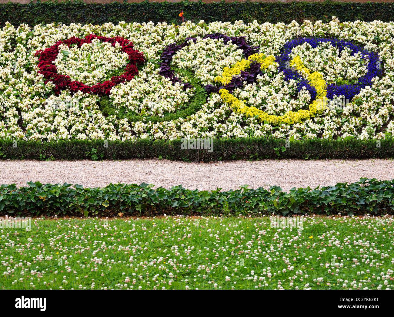 Rennes, France - 26 juillet 2024 : une vivacité florale mettant en vedette les anneaux olympiques faits de fleurs colorées, sur fond de fleurs blanches Banque D'Images