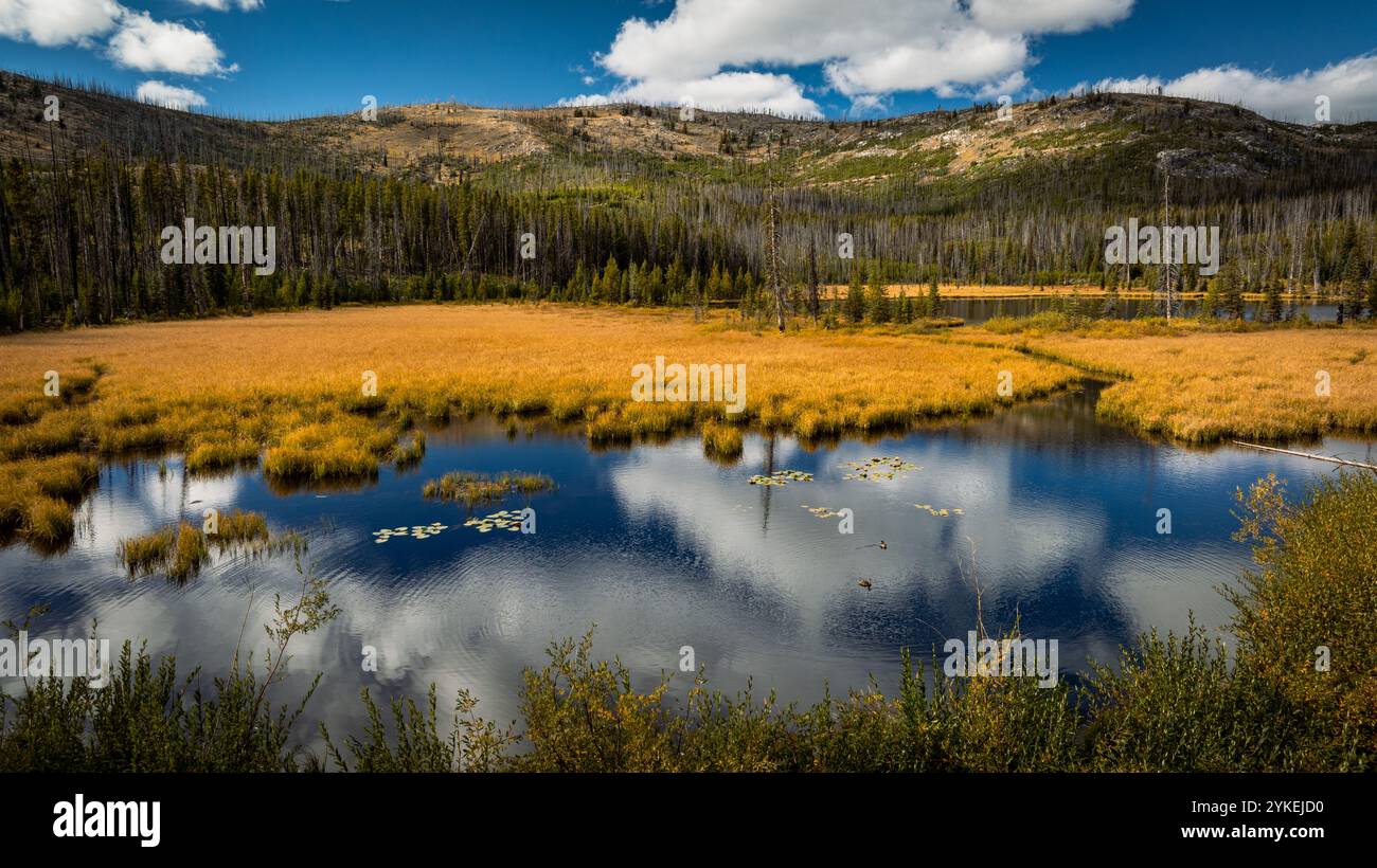 Washington automne dans le nord-ouest du Pacifique alpin Banque D'Images