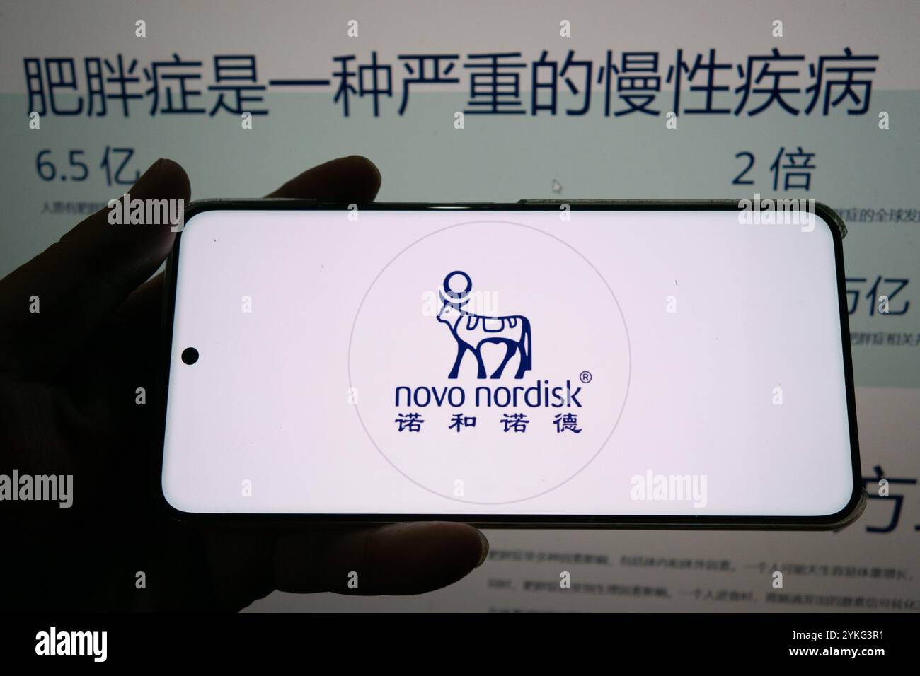 Le logo et le site officiel de Novo Nordisk sont photographiés à Shanghai, en Chine, le 18 novembre 2024. Banque D'Images