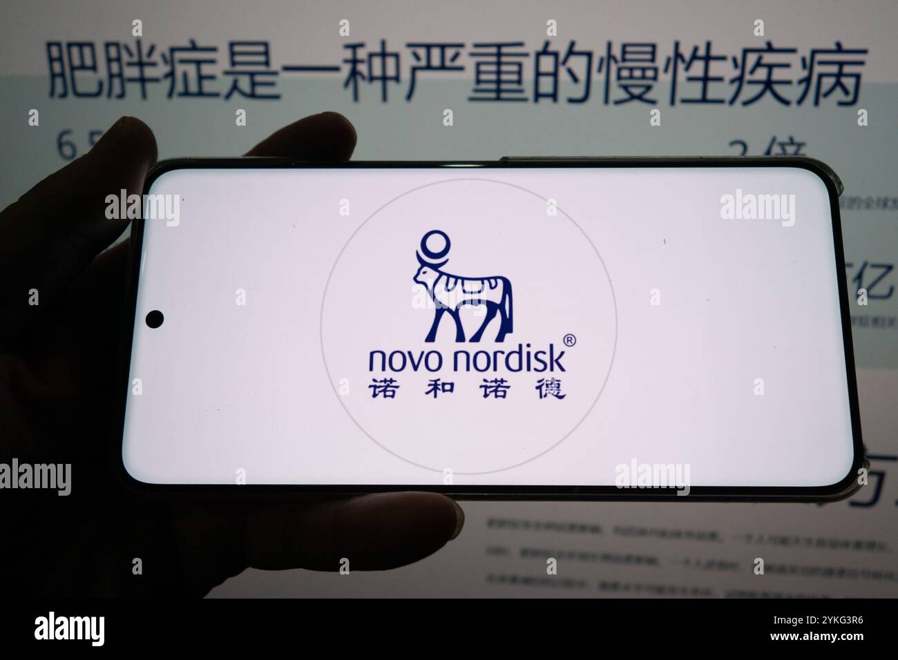 Le logo et le site officiel de Novo Nordisk sont photographiés à Shanghai, en Chine, le 18 novembre 2024. Banque D'Images