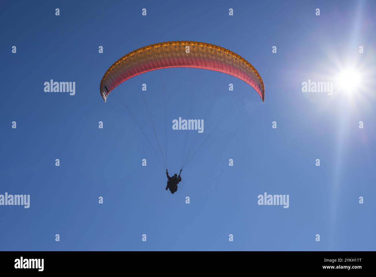 Parapente, près de Nebelhorn, 2224m, Allgaeuer Alpes, Allgaeu, Bavière, Allemagne, Europe Banque D'Images