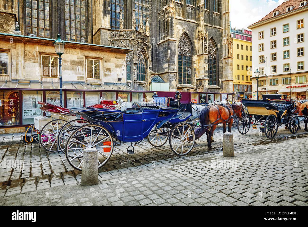 Chevaux de calèche marchant dans les rues de l'une des plus belles villes européennes - Vienne Banque D'Images