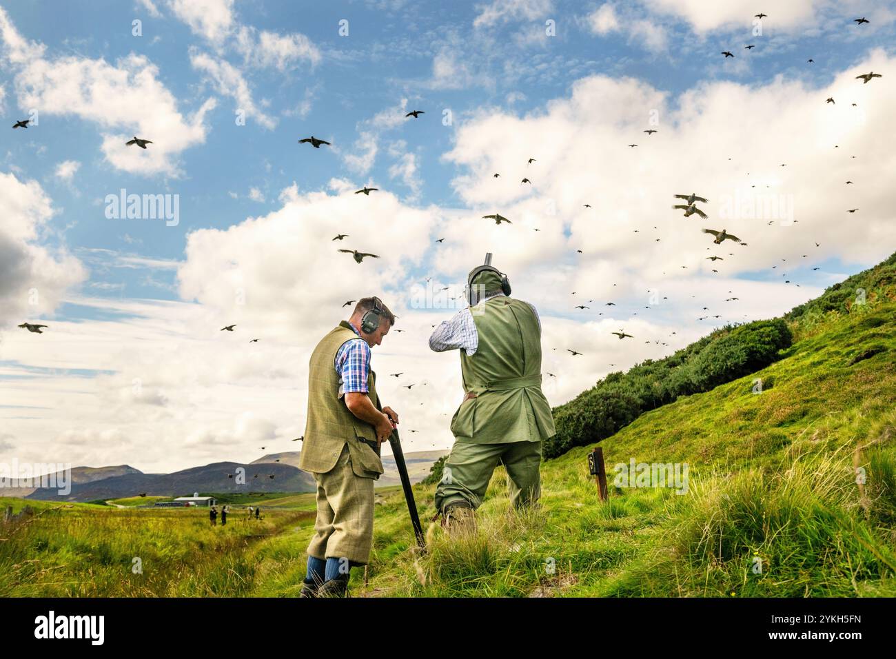 Images de la fusillade de gibier à plumes, y compris des tétras, sur un Highland Estate en Écosse. Banque D'Images