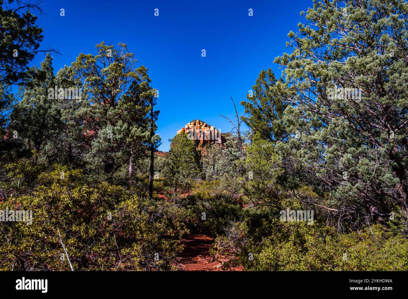 Red Rock State Park dans la forêt nationale de Coconino près de Sedona, Arizona à l'automne 2024, y compris Soldiers Pass et Seven Sacred Pools Banque D'Images