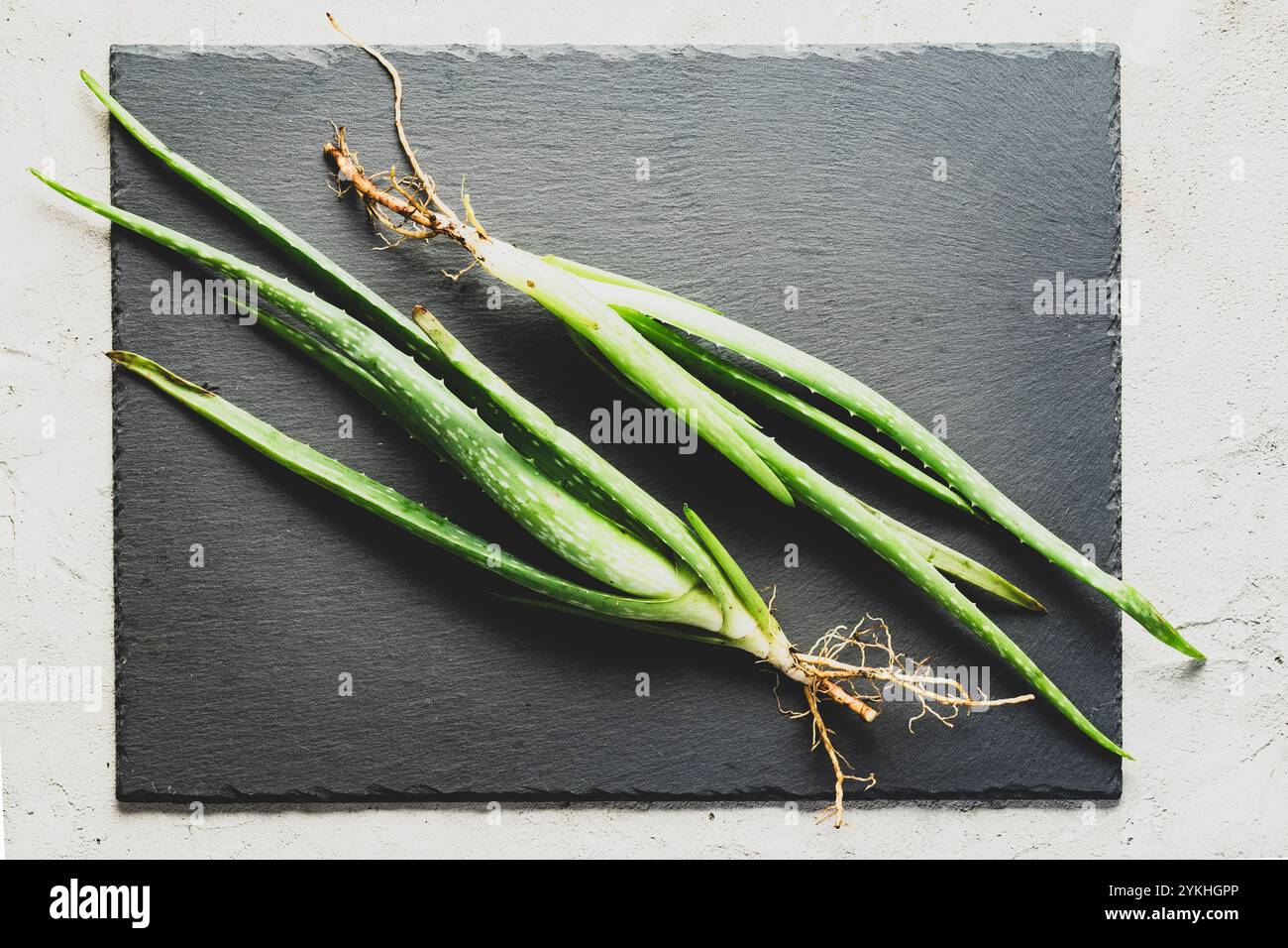 hyaluron agave hanföl Agave Nectar main image 1