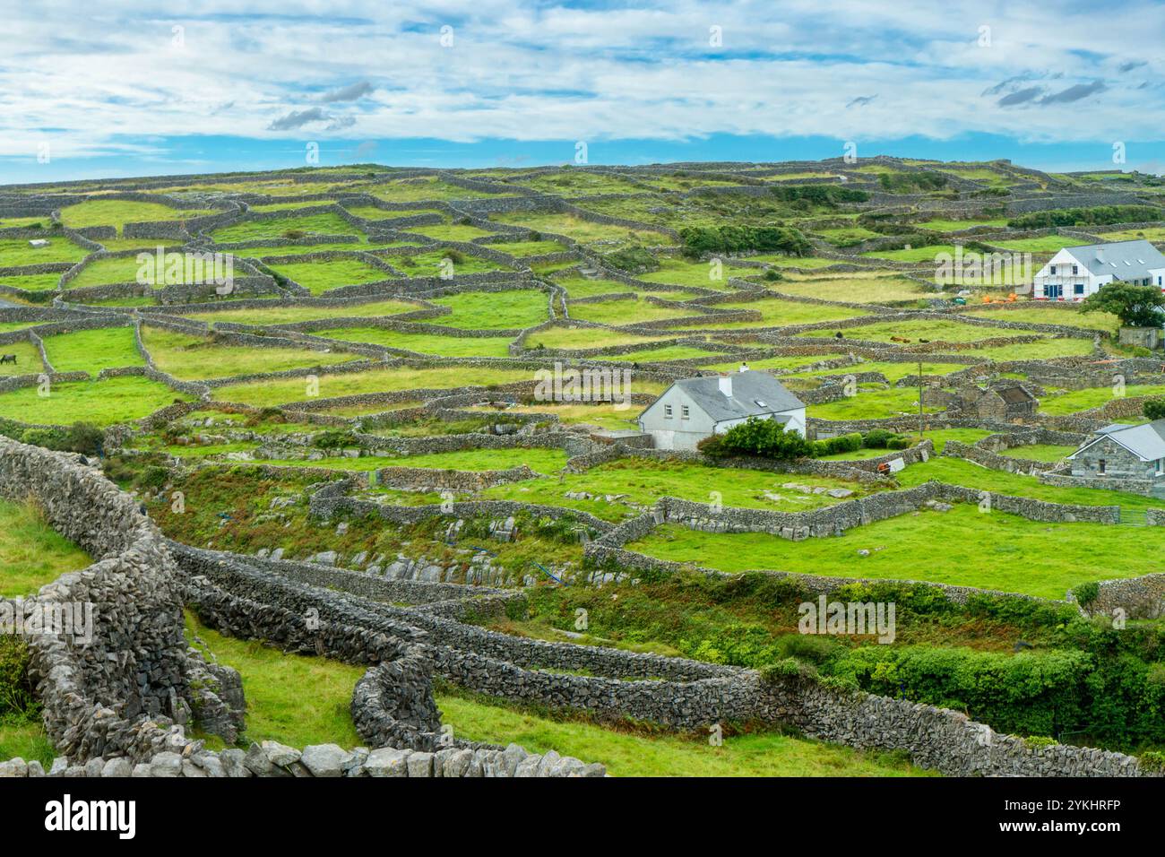 Regardant vers le bas du sommet des collines à un paysage de pâturages verts et murs de pierre sèche typiques de l'Irlande, Aran Islands, Irlande Banque D'Images