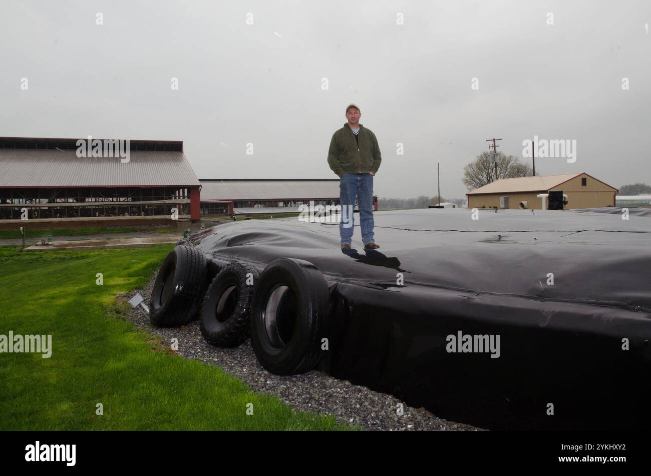 Mike Brubaker se tient sur la couverture flexible solide de Brubaker Farms, digesteur de méthane, ce qui en fait à la fois un journal intime et un producteur d'énergie verte à Mount Joy, PA, le 19 mars 2011. La ferme familiale appartenant à Luke, Mike et Tony Brubaker compte environ 850 vaches et 700 jeunes animaux, produisant 20 200 000 livres de lait l'an dernier. Elle compte 13 employés à temps plein et plus de 1 500 acres de terres agricoles. Leur digesteur de méthane a été rendu possible grâce à une subvention du programme REAP (rural Energy for America) du Département de l'Agriculture des États-Unis (USDA) qui a fourni une part des coûts de l'achat du digesteur. IT Banque D'Images