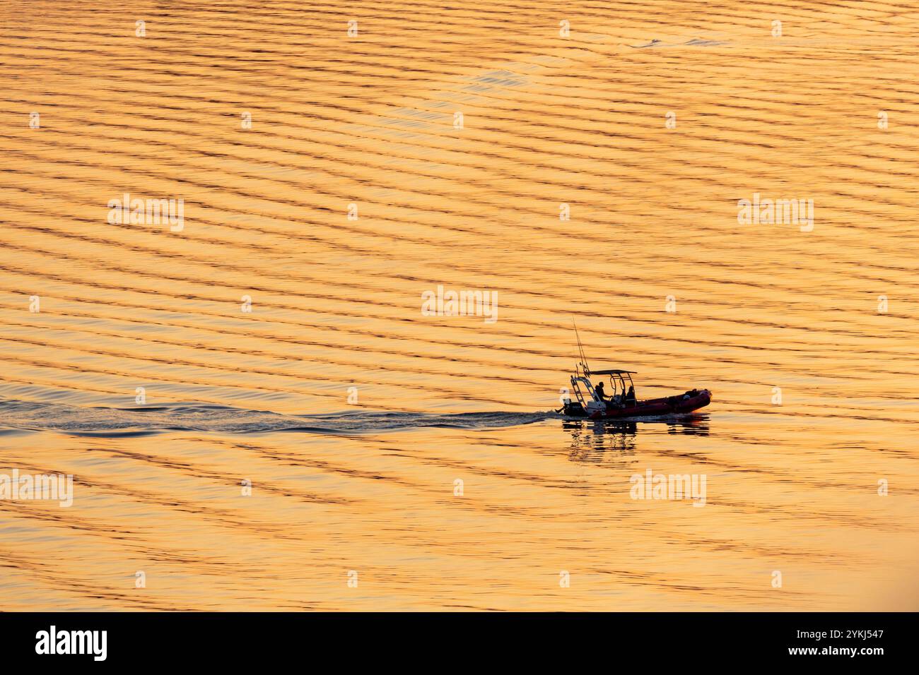 Bateau RIB à la Baie, rivière Saguenay, Québec, Canada Banque D'Images