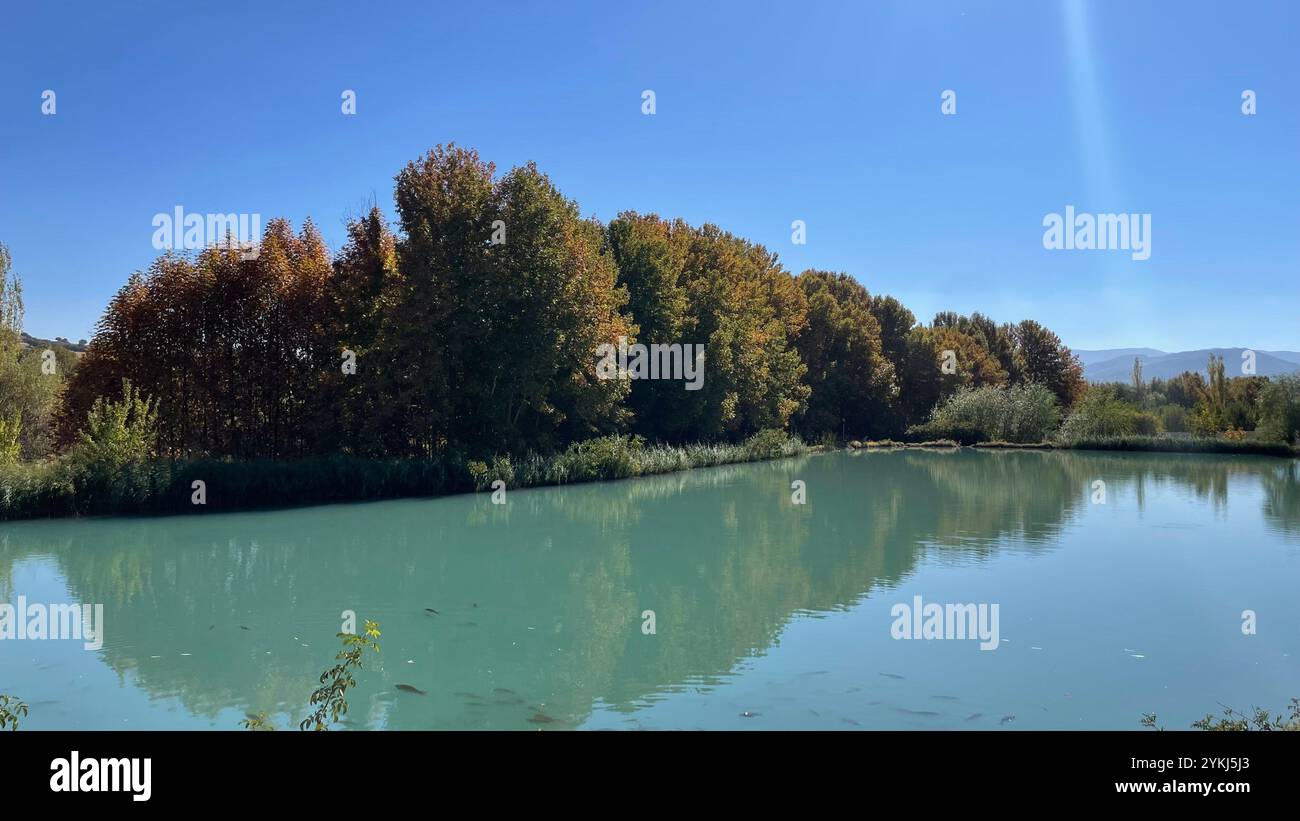 « Un lac serein près de Shiraz, en Iran, reflétant les arbres d’automne vibrants et le ciel clair, offrant une retraite paisible entourée par la beauté intemporelle de la nature. Banque D'Images