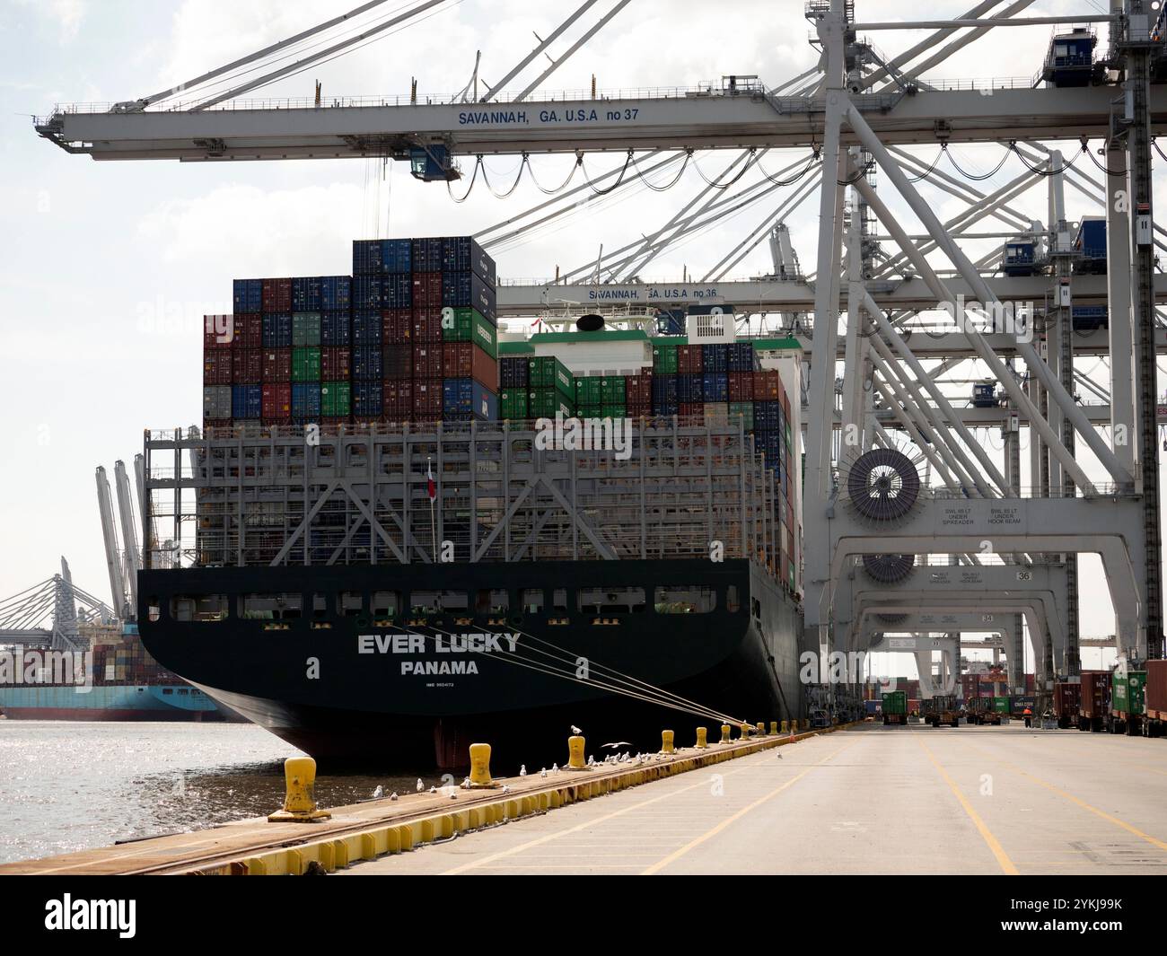 Port de Savannah, GA installations portuaires, navires et conteneurs à Savannah, GA le 29 février 2020. Photo USDA de Meghan Rodgers. Banque D'Images