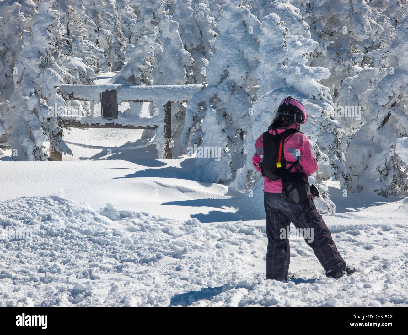 Femme snowboarder regardant une porte Torii presque totalement enterrée dans la neige profonde (Yokoteyama, Nagano) Banque D'Images