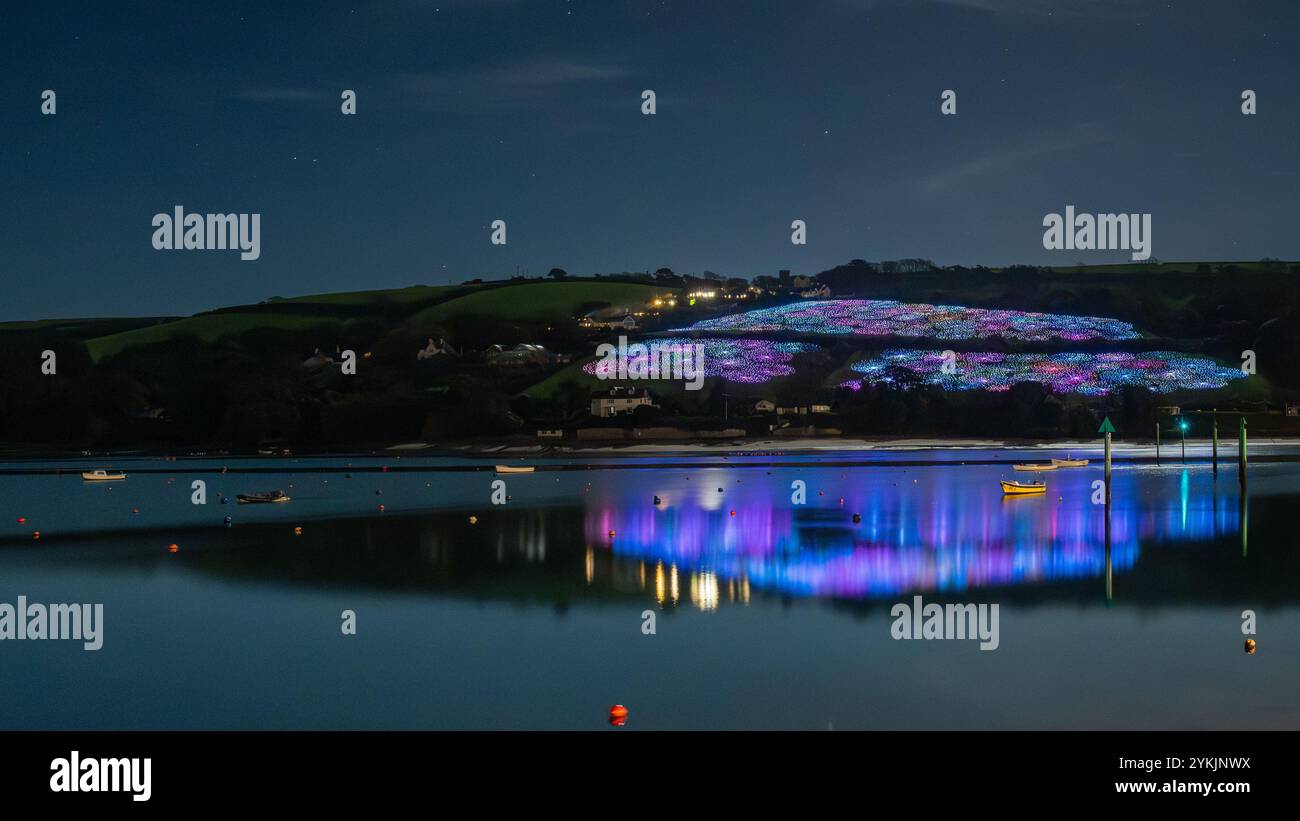 Champ de lumière de Salcombe, amassant des fonds pour RNLI, les lumières étant réfléchies dans l'eau calme du port de Salcombe fournissant un miroir aux lumières. Banque D'Images