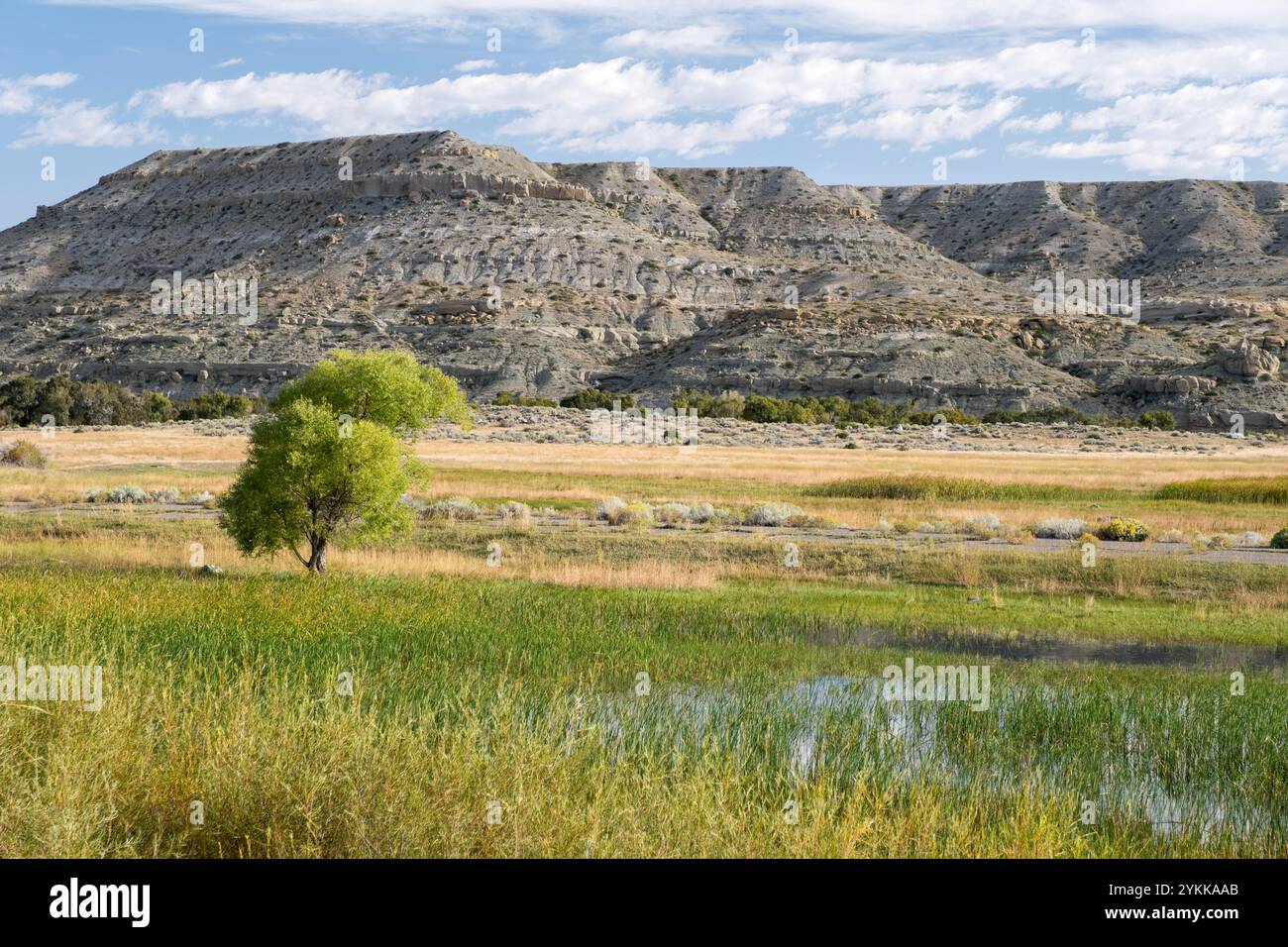 Paysage clairsemé de la vallée de la rivière Wind avec des zones humides et des buttes dans le centre du Wyoming Banque D'Images