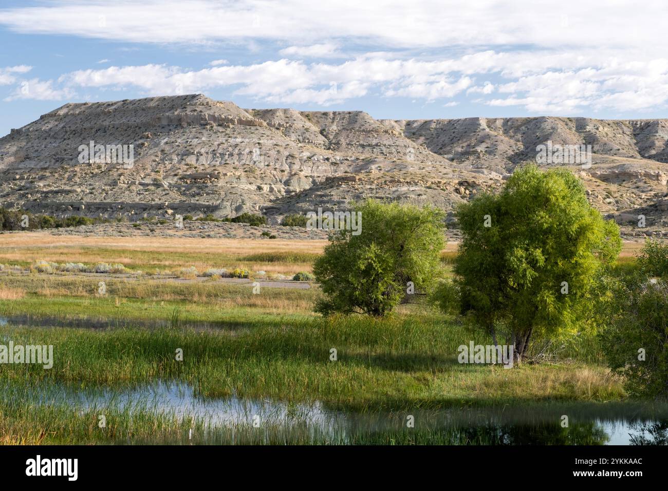 Paysage clairsemé de la vallée de la rivière Wind avec des zones humides et des buttes dans le centre du Wyoming Banque D'Images
