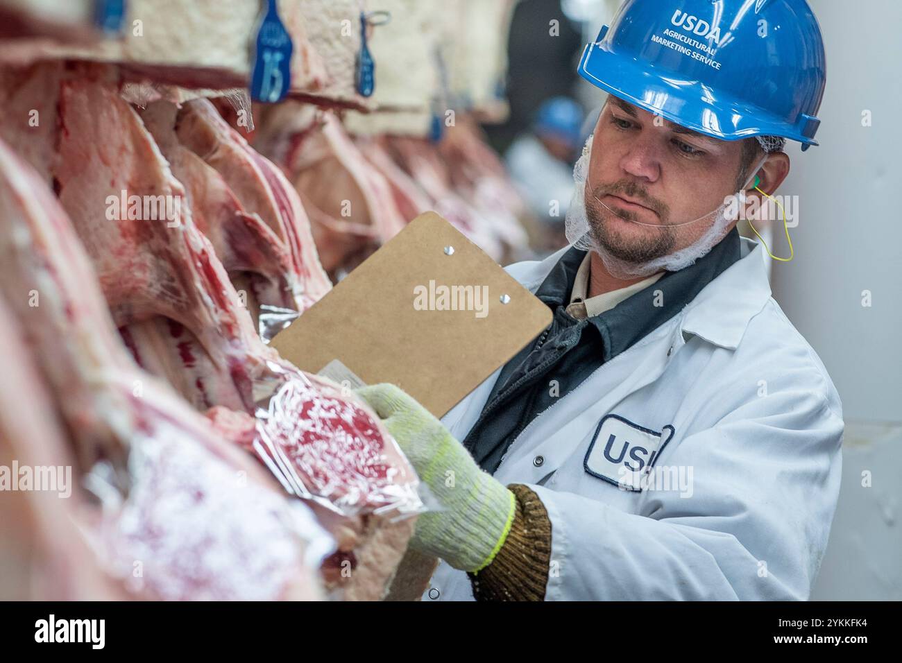 Les inspecteurs de la viande agricole de l'USDA inspectent et classent le bœuf dans un abattoir et une usine d'emballage. Banque D'Images