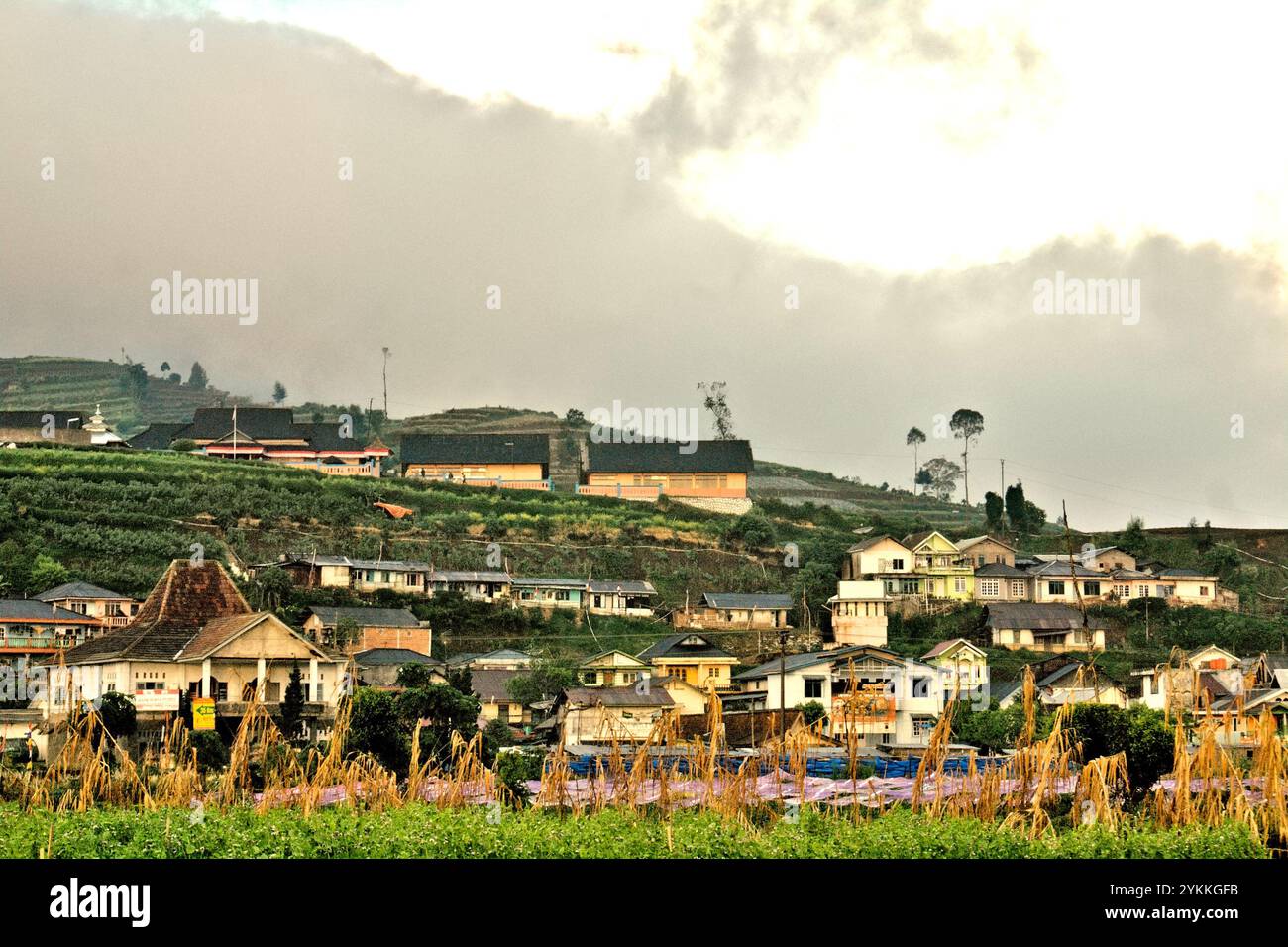 Paysage d'un village montagneux entouré de champs agricoles sur le plateau de Dieng, dans le centre de Java, Indonésie. Banque D'Images Paysage d'un village montagneux entouré de champs agricoles sur le plateau de Dieng, dans le centre de Java, Indonésie. Banque D'Images
