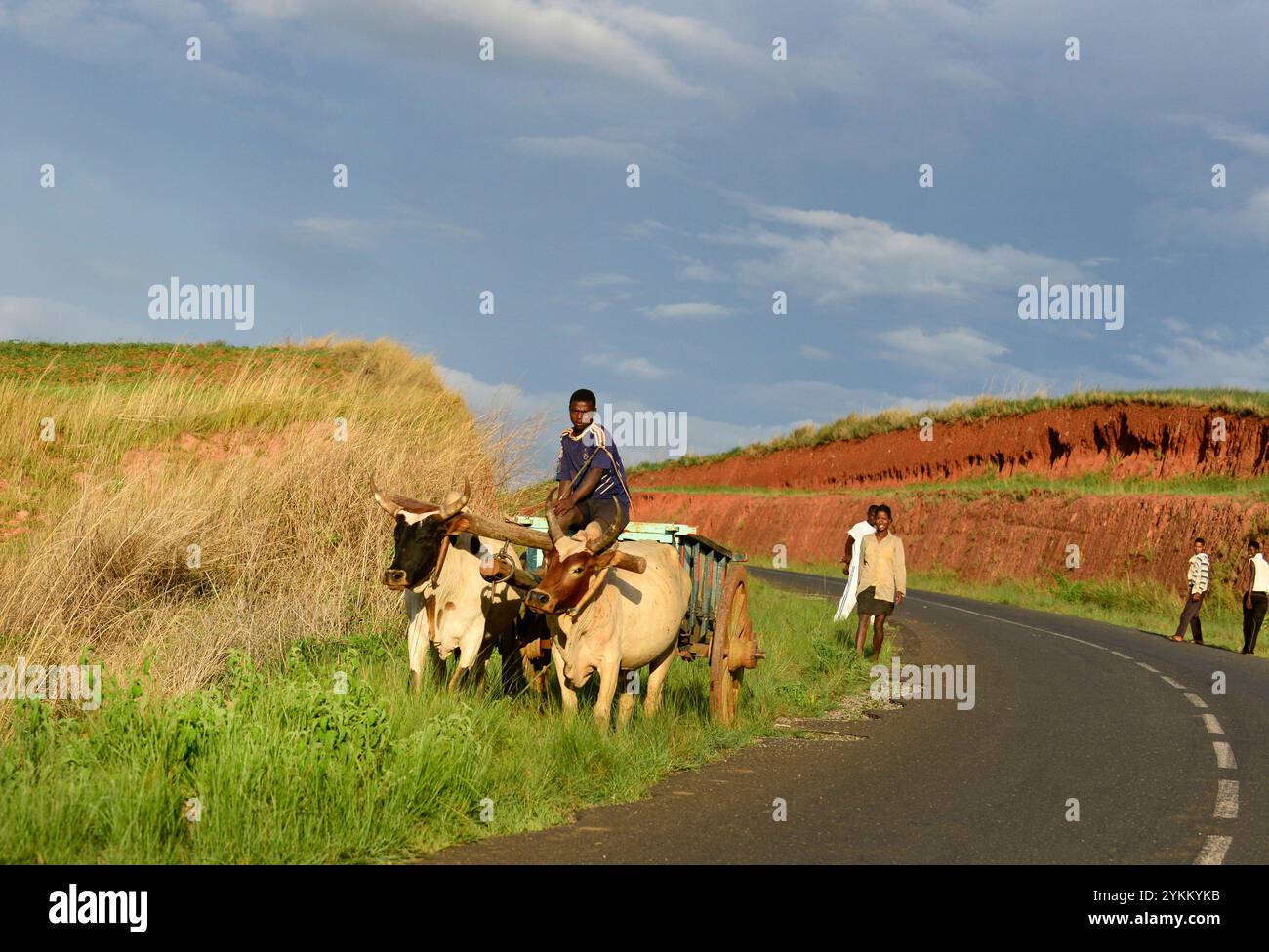 Conduite sur la route RN 34 entre Morondava et Antsirabe à Madagascar. Banque D'Images