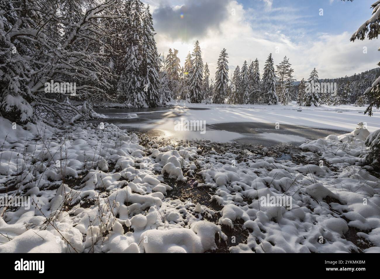 FRANCE, LORRAINE, VOSGES (88), PARC NATUREL RÉGIONAL DES BALLONS DES VOSGES, LAC LISPACH SOUS LA NEIGE EN HIVER Banque D'Images