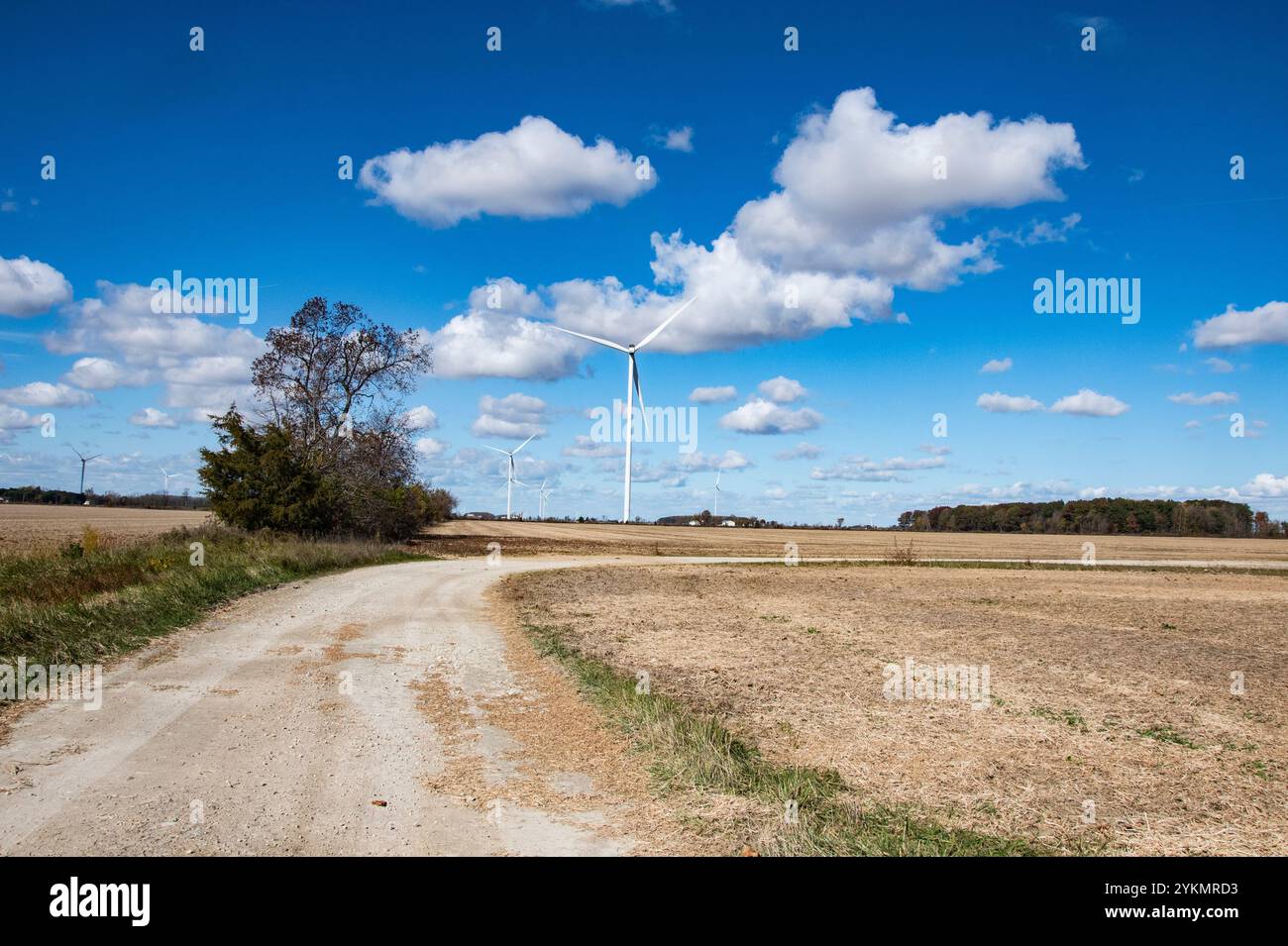 Éoliennes sur des terres agricoles à Wheatley, Ontario, Canada Banque D'Images