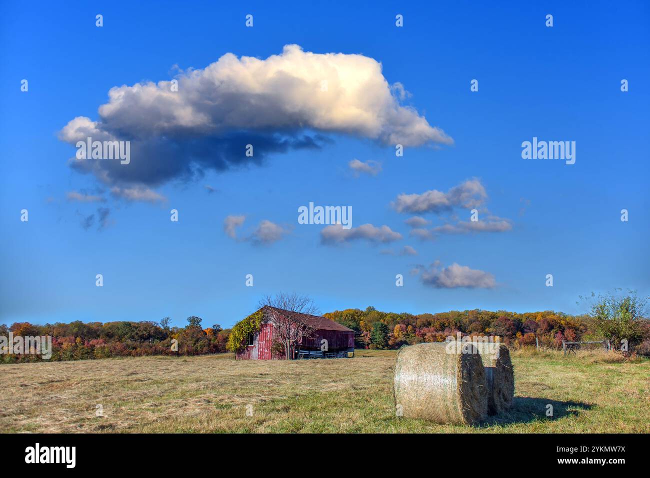 Paysage agricole d'une ancienne grange rouge rustique dans un champ sur une ferme du Maryland pendant l'automne avec des couleurs d'automne et des balles de foin Banque D'Images