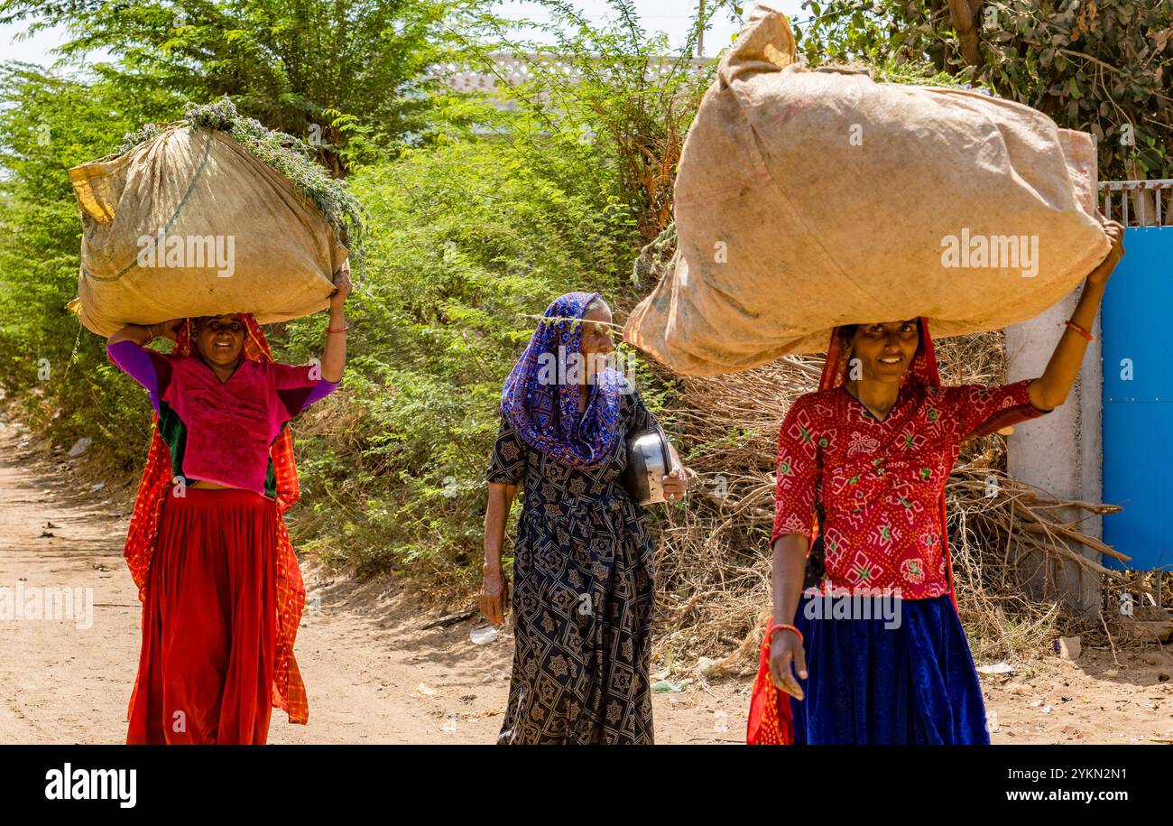Trois femmes en tenue traditionnelle équilibrent de grandes charges sur la tête tout en marchant sur un chemin rural poussiéreux Banque D'Images