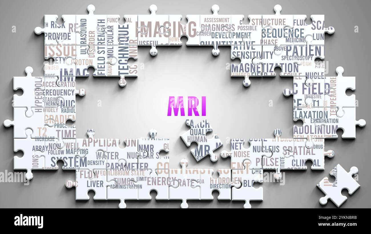 L'IRM est un sujet complexe, lié à d'autres sujets importants. Banque D'Images