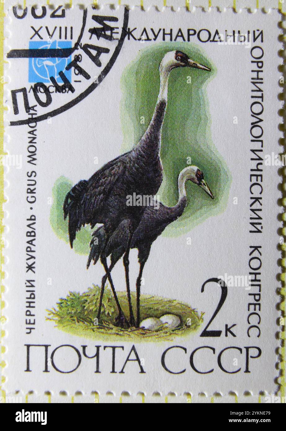 ISTANBUL, TURQUIE - 03 JANVIER 2021 : timbre de l'Union soviétique montrant le 18ème Congrès ornithologique, Moscou, Grus monacha vers 1982 Banque D'Images