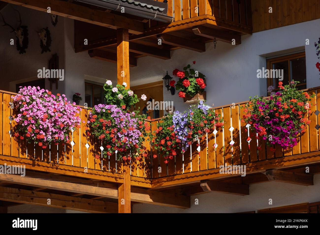 Maison alpine traditionnelle avec balcon décoré de variétés de pétunia et de fleurs de géranium Banque D'Images