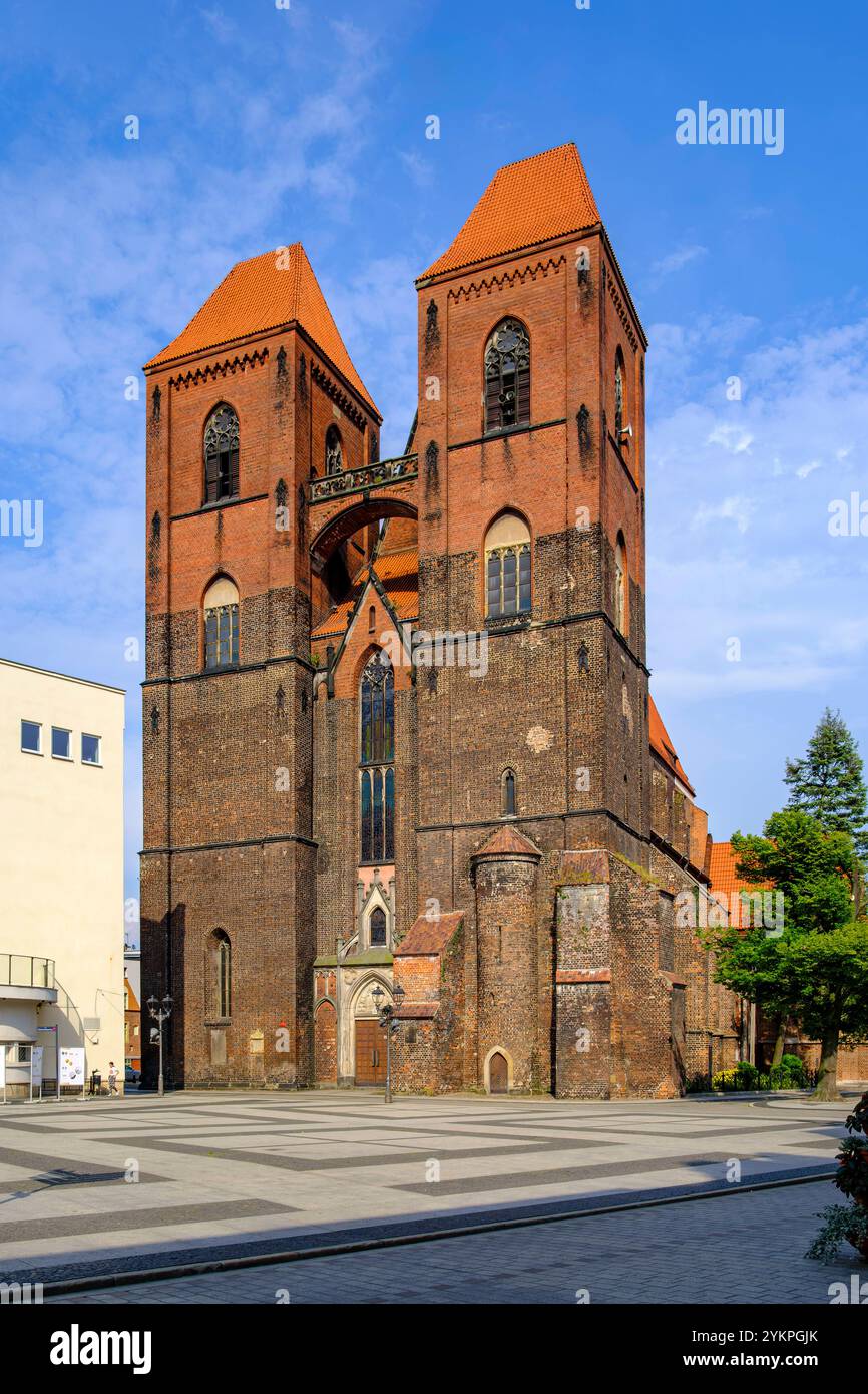 Nikolaikirche Brzeg, Woiwodschaft Opole, Polen Die Nikolaikirche oder Kirche : Nikolaus, eine Basilika des 14. Jahrhunderts, in der oberschlesischen Stadt Brieg/Brzeg, Powiat Brzeski, Woiwodschaft Opole, Polen, Gilt als eines der größten gotischen Bauwerke in Schlesien. Banque D'Images