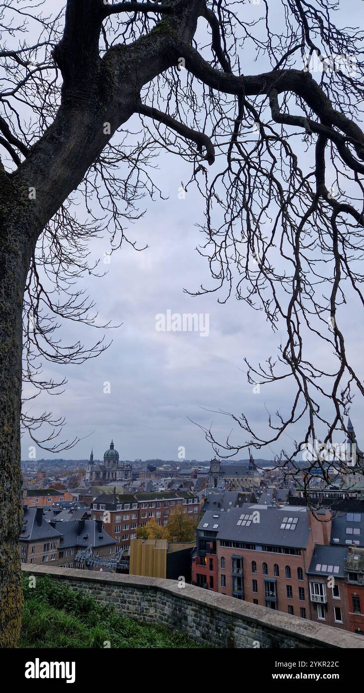 Vue générale de la ville, Namur, Belgique Banque D'Images