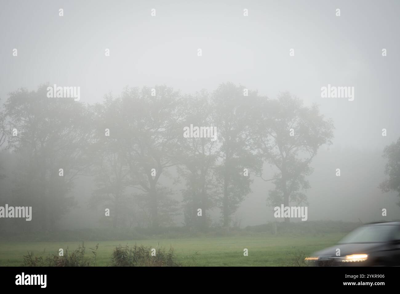Brume de mer du Nord sur l'autoroute d'Amsterdam à Paris 2 - pays-Bas Banque D'Images