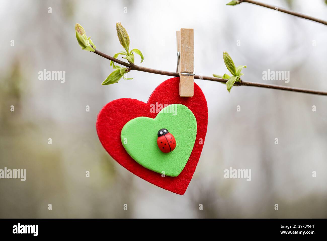 Respect de la nature. Symbole de coeur, branche verte, temps de printemps. Concept de soins de la nature. Écologie et protection de l'environnement. Énergies renouvelables Banque D'Images