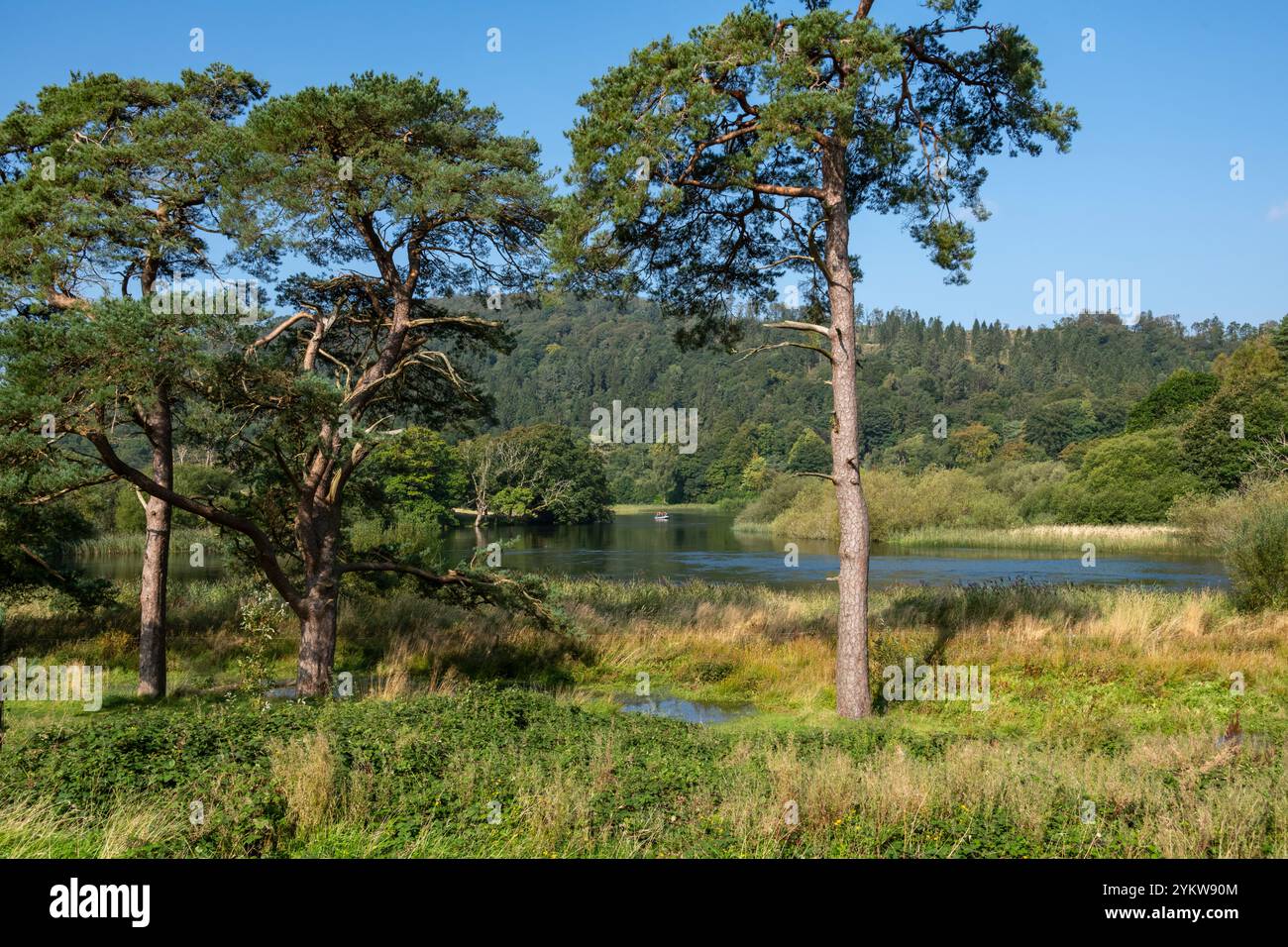 Petit bateau à la pointe sud du lac Windermere qui se transforme en la rivière Leven près de Newby Bridge. Lake District, Angleterre. Banque D'Images
