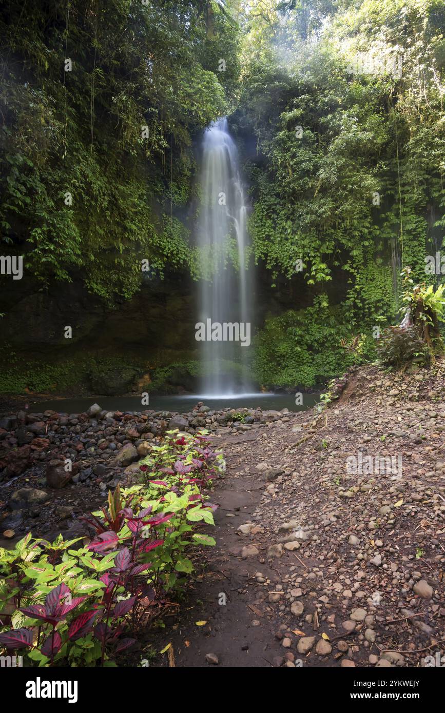 Belle cascade à l'ouest de Java, indonésie Banque D'Images