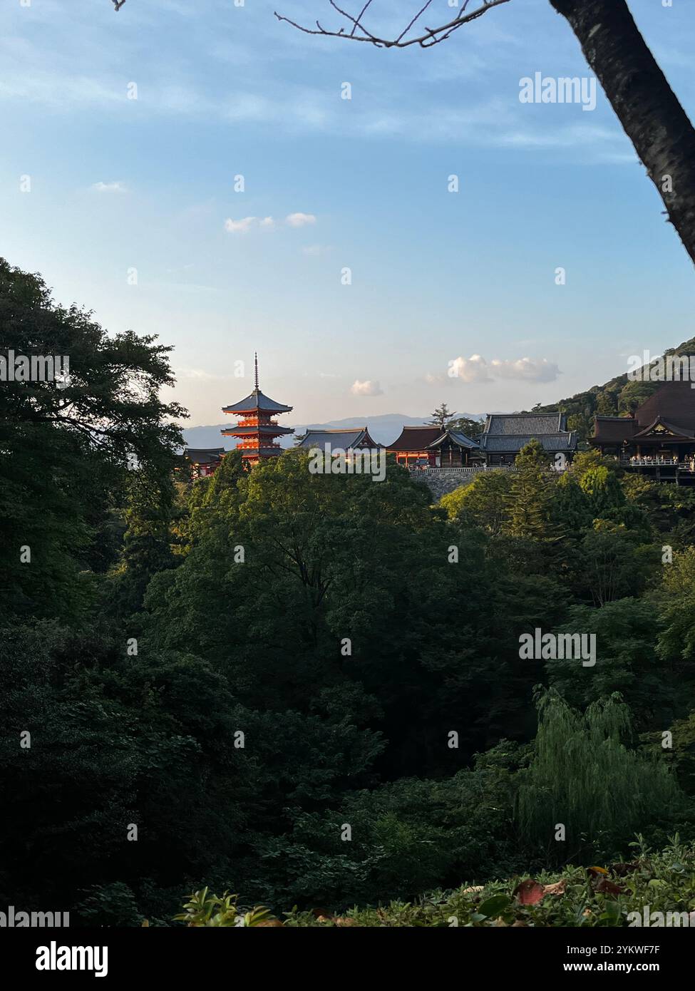 Temple Kiyomizu-dera, Kyoto - Image de stock capturée avec un smartphone