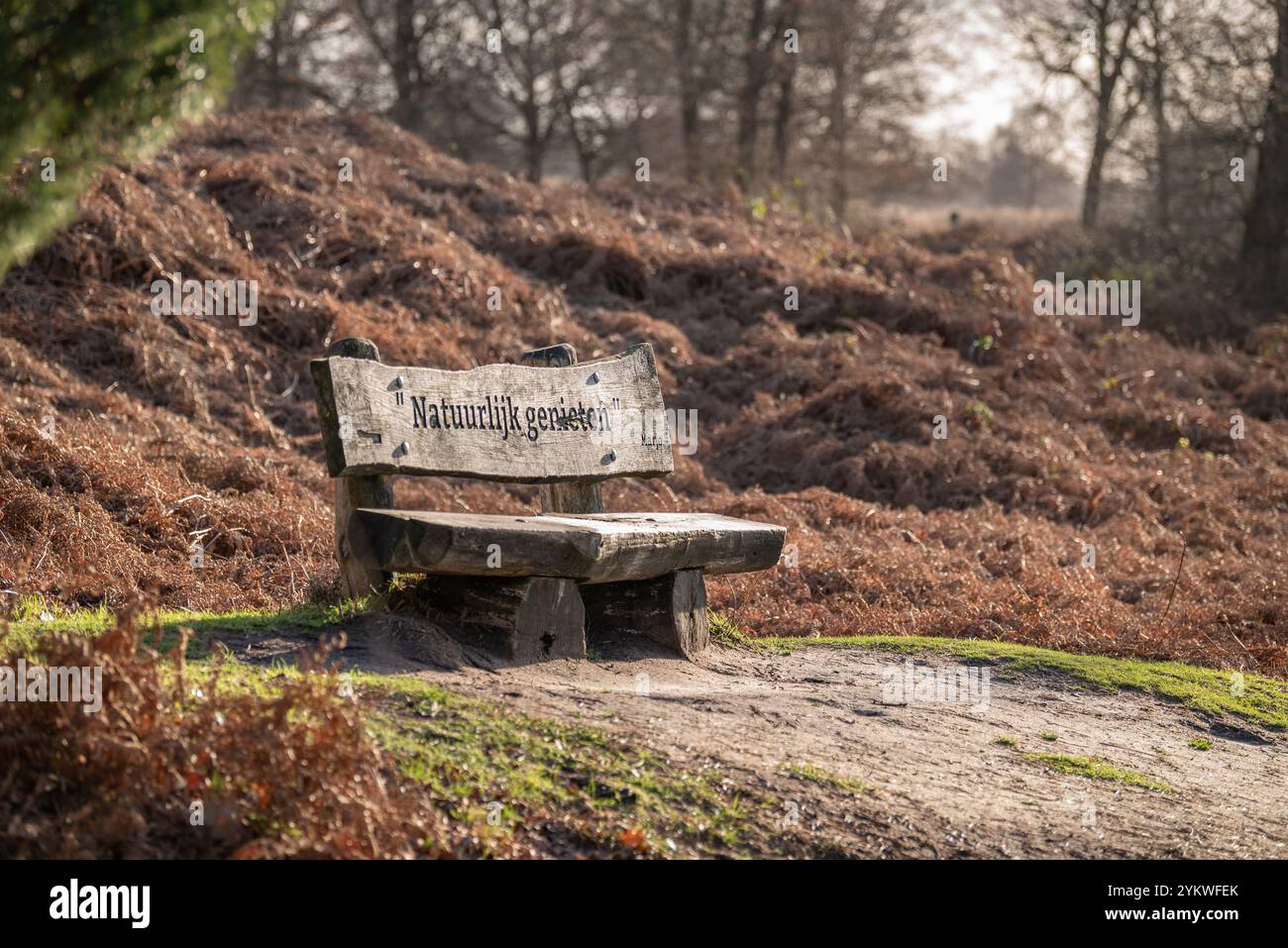 Nature Banque D'Images