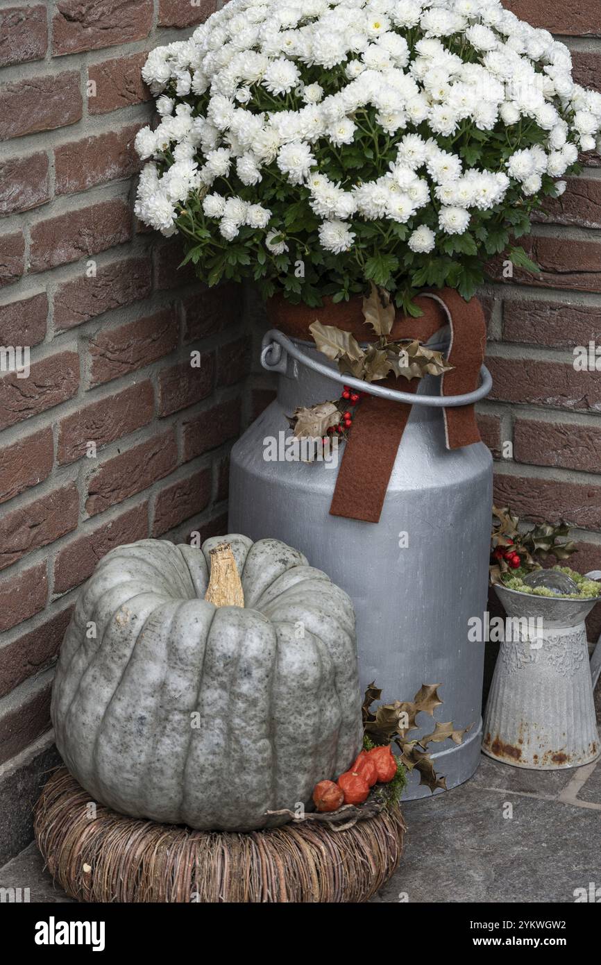 Citrouille et fleurs blanches sur un récipient en zinc avec des accents automnaux dans un coin, hommes, muensterland, allemagne Banque D'Images