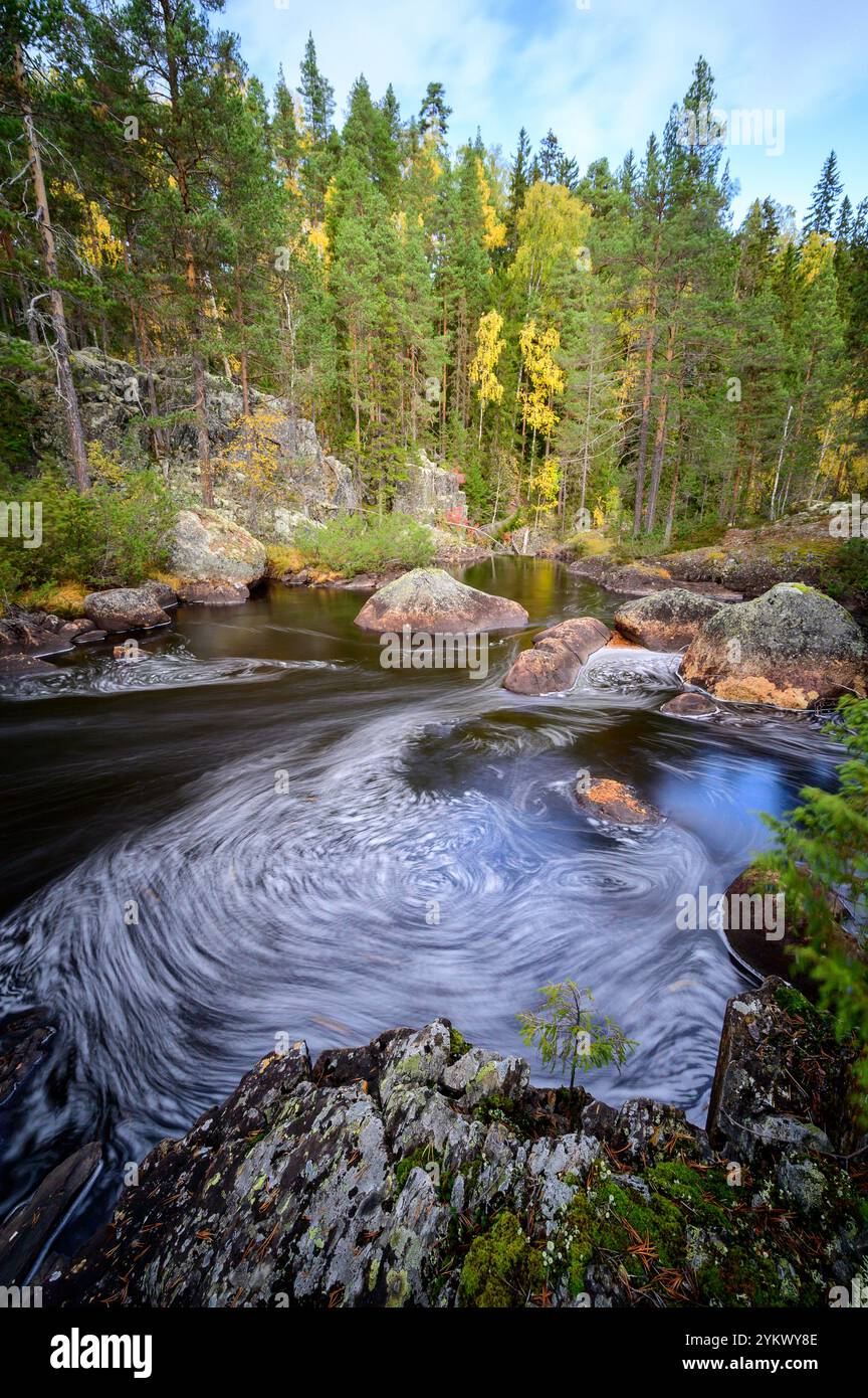 Eau encerclante aux couleurs d'automne dans le parc national de Hamra, rivière Svartån, Suède Banque D'Images