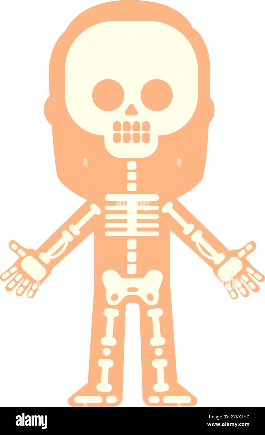 Illustration stylisée montrant des os de squelette humain à l'intérieur de la silhouette du corps, adapté à des fins éducatives ou médicales, les bras ouverts Illustration de Vecteur