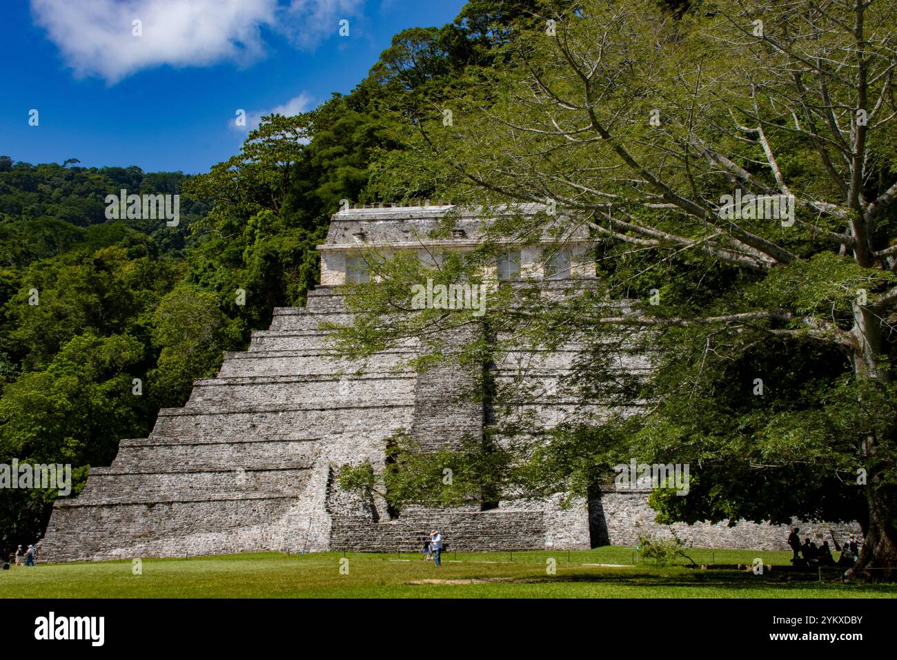 Temple des inscriptions à Palenque, Chiapas, Mexique. Cette pyramide maya emblématique est entourée d'une jungle tropicale luxuriante. Banque D'Images