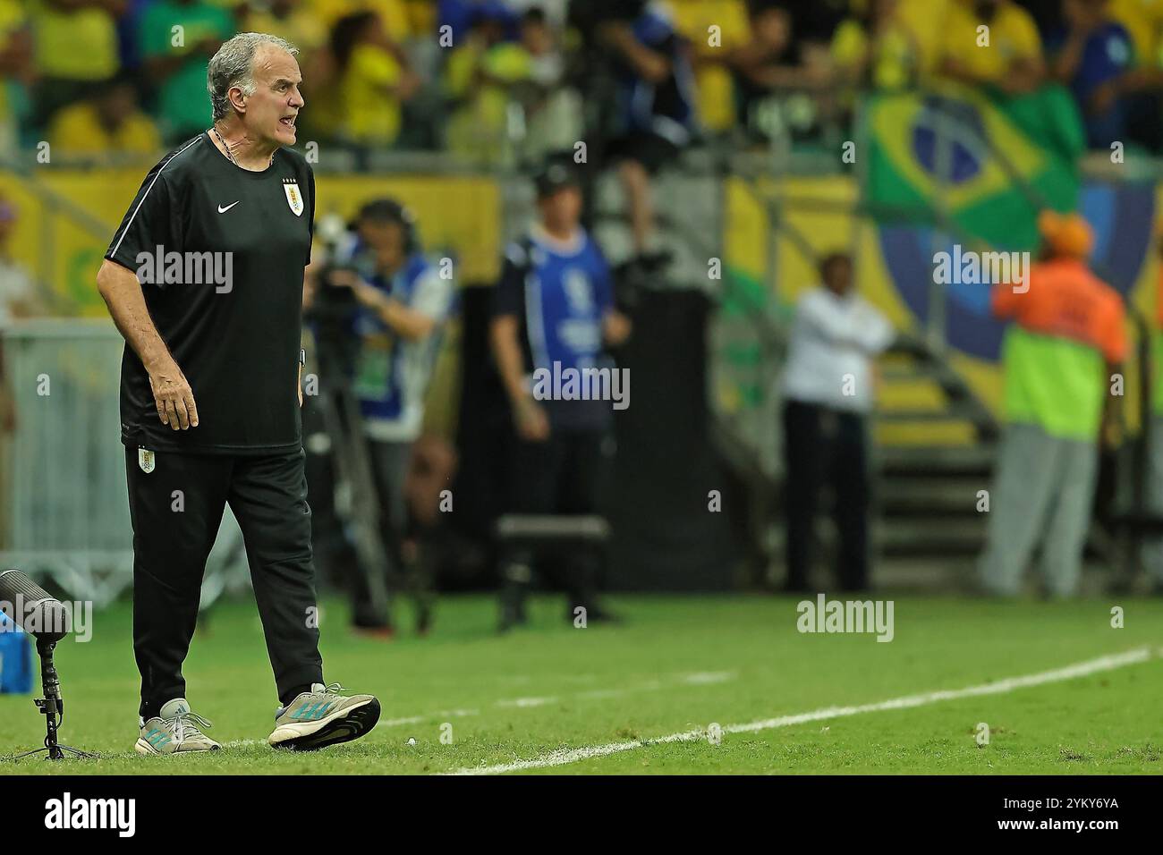 19 novembre 2024 : Salvador, Brésil ; Marcelo Bielsa, entraîneur de l'Uruguay, donne des instructions à l'équipe lors du match entre le Brésil et l'Uruguay pour la 12ème manche des qualifications pour la Coupe du monde FIFA 2026, au stade Arena fonte Nova Banque D'Images