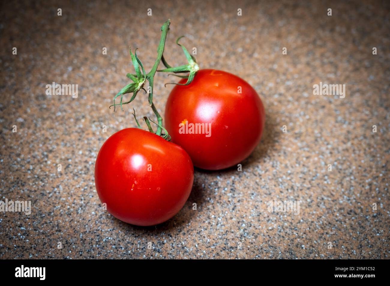 Une paire de tomates rouges luxuriantes sur la vigne. La tomate est une plante dont le fruit est une baie comestible Banque D'Images