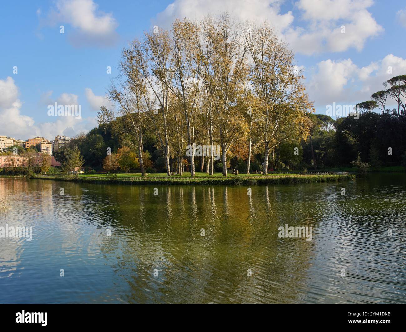 Villa Ada parc de la ville de Rome à l'automne, Italie Banque D'Images